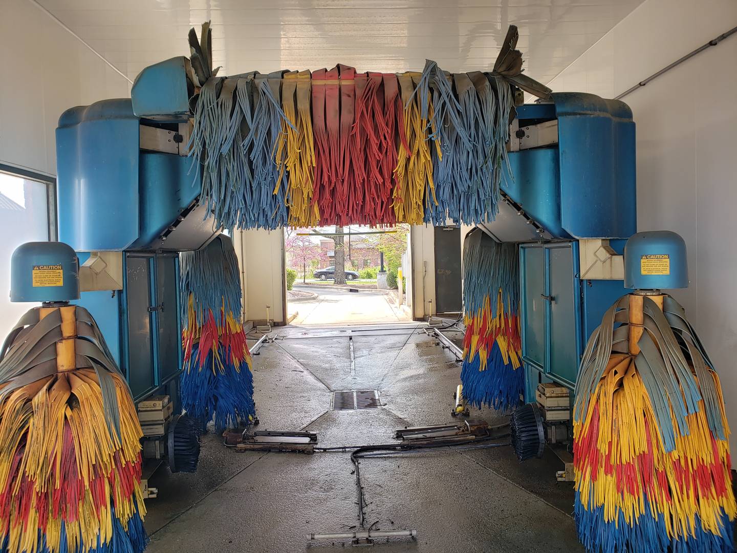 ryko softgloss xs robux